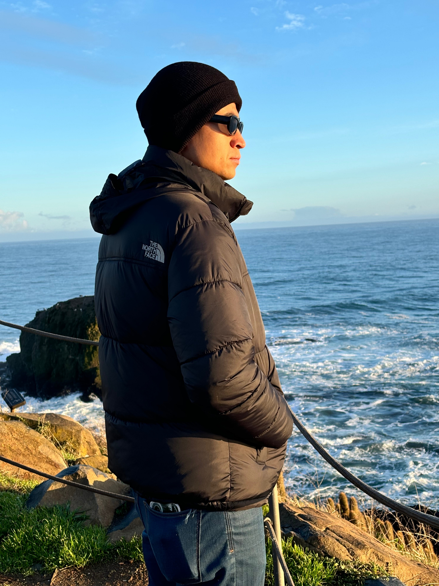 Parka North Face Nupse 700