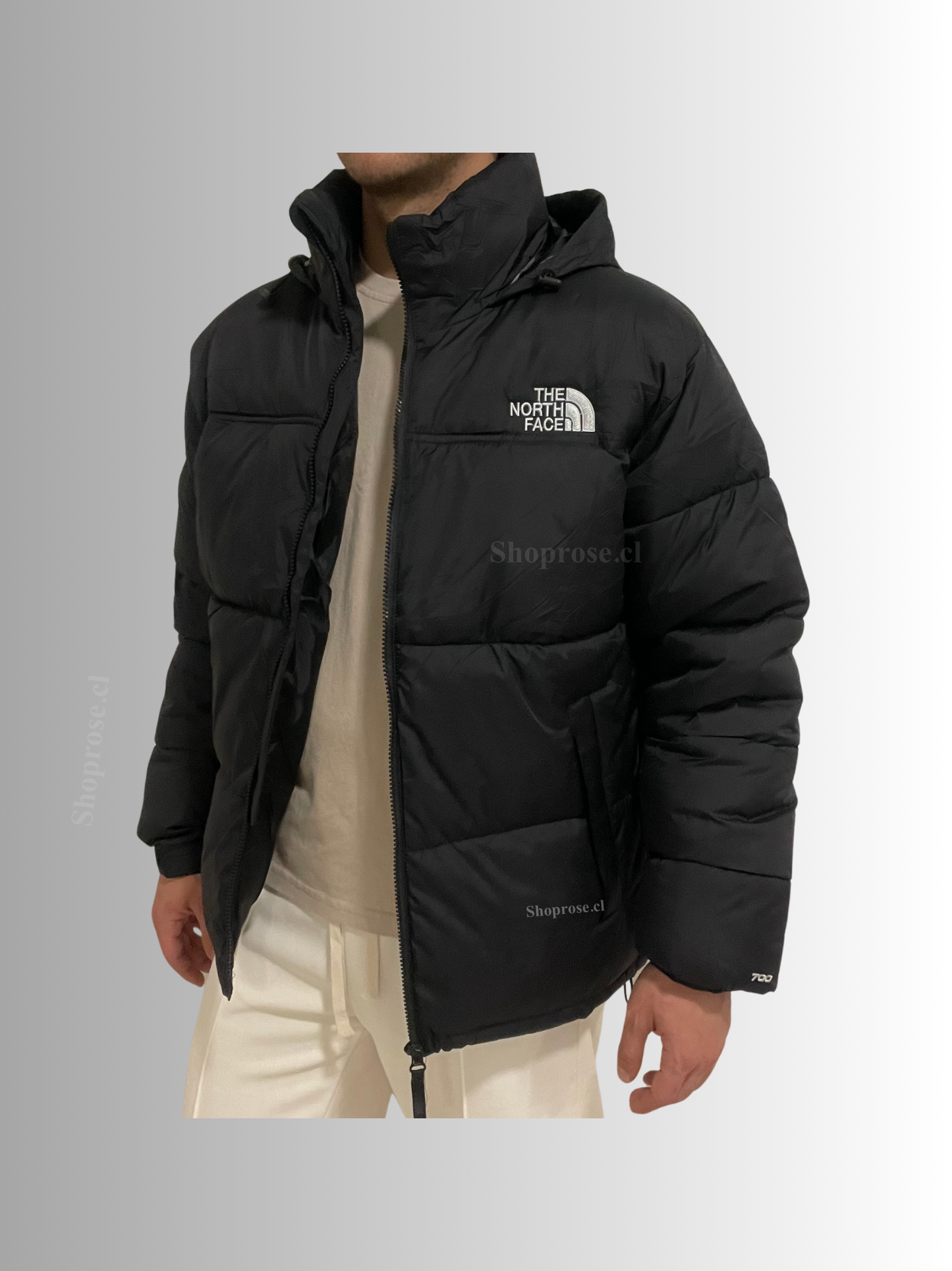 Parka North Face Nupse 700
