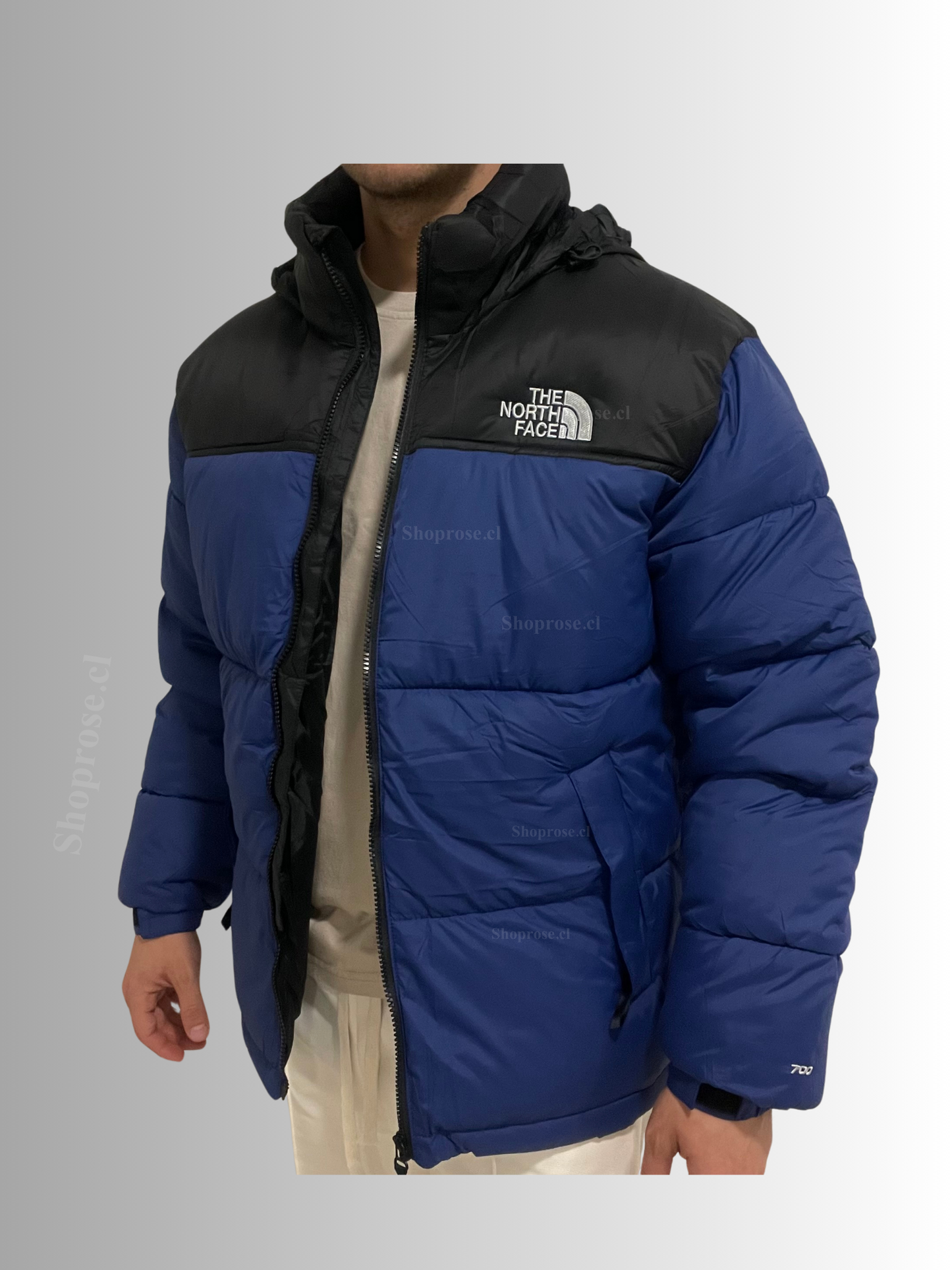 Parka North Face Nupse 700